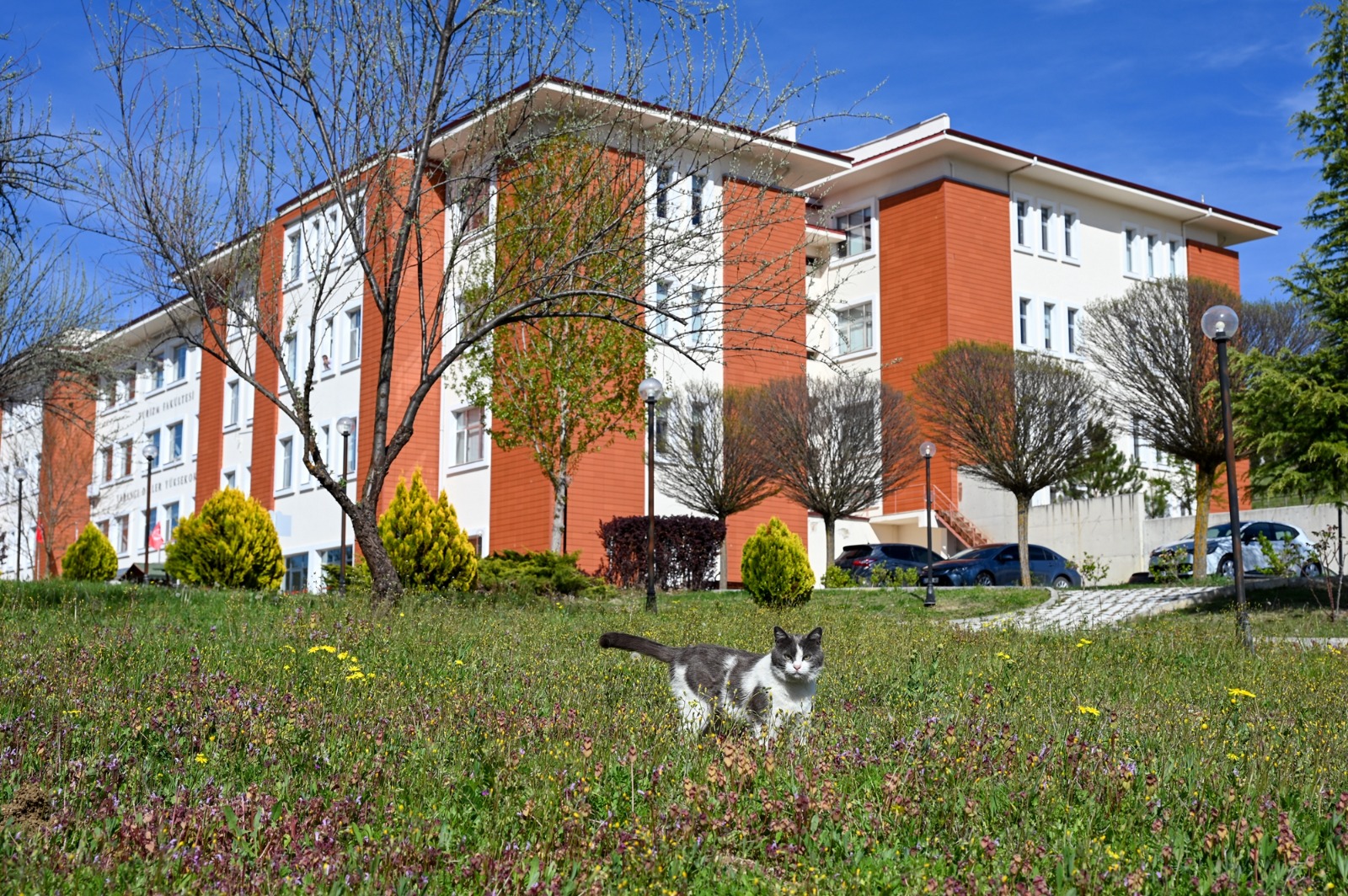 Faculty of Tourism
